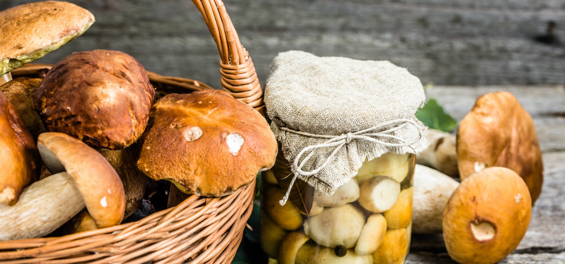 Calendrier champignons 2023