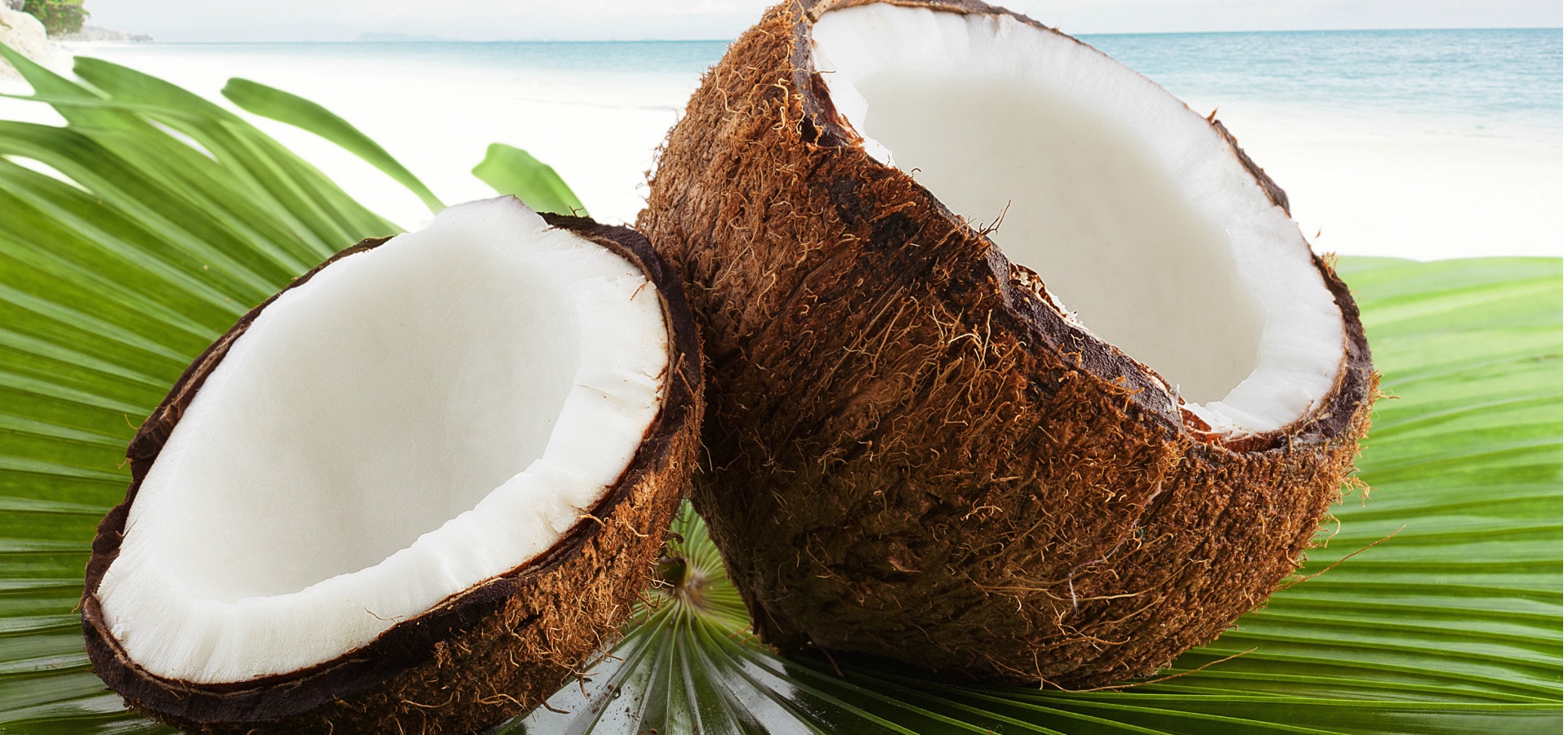 Toutes les Caraïbes dans la noix de coco | CostaClub