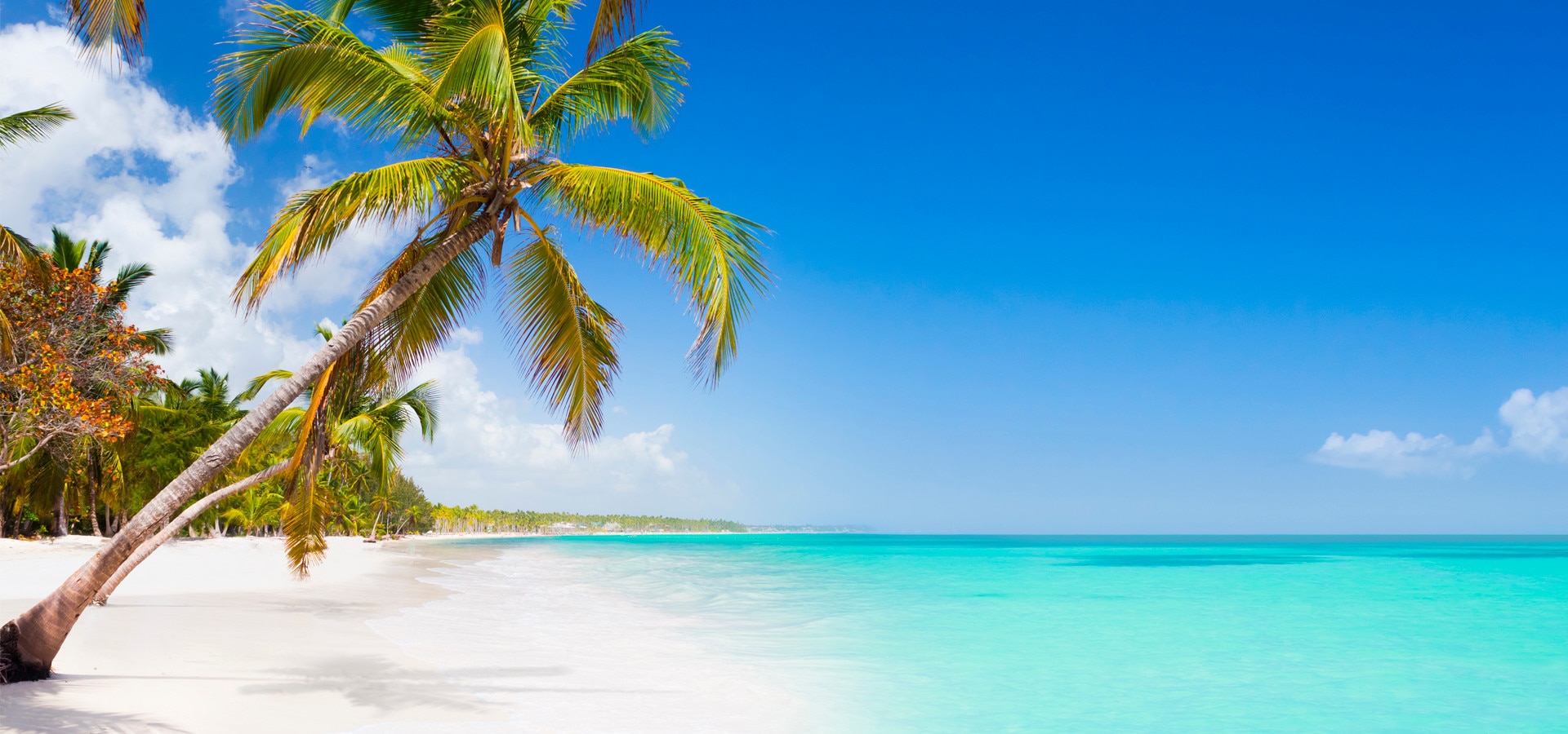 Les 5 plus belles îles des Caraïbes à découvrir en croisière | CostaClub